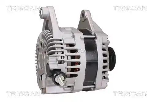 TRISCAN 8310 50001