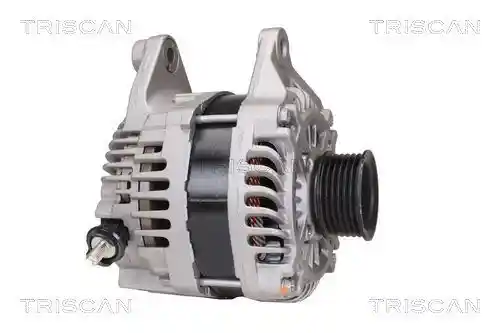 TRISCAN 8310 50001