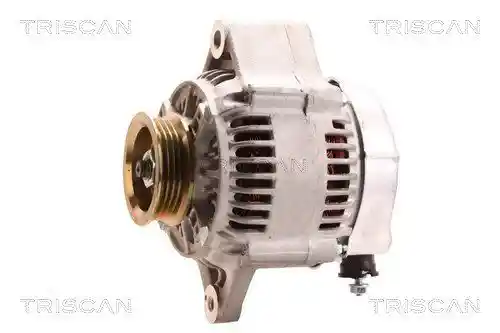 TRISCAN 8310 69004