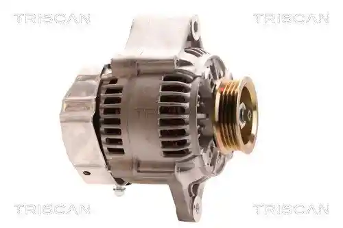 TRISCAN 8310 69004
