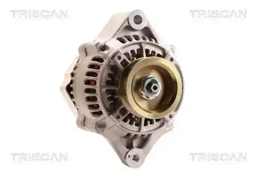 TRISCAN 8310 69004