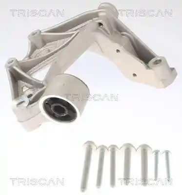 TRISCAN 8500 295262