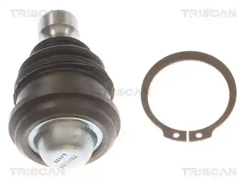 TRISCAN 8500 43521
