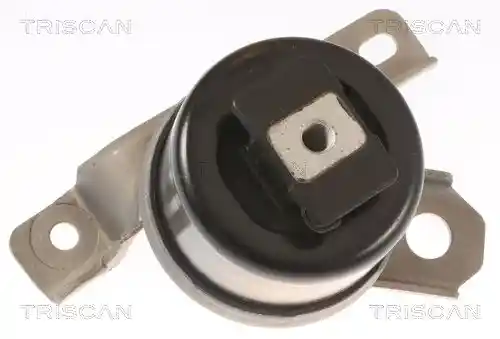TRISCAN 8505 27107