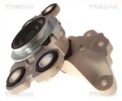 TRISCAN 8505 27112