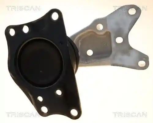 TRISCAN 8505 291011