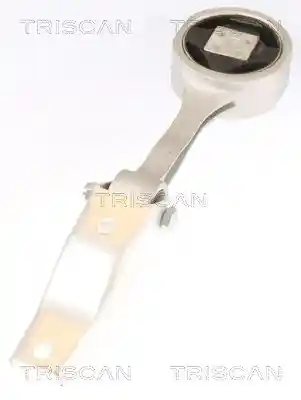 TRISCAN 8505 29106
