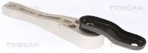 TRISCAN 8505 29109
