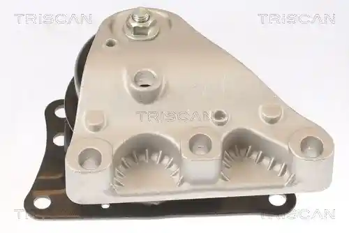 TRISCAN 8505 29110