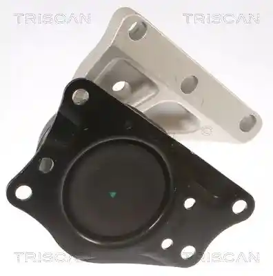 TRISCAN 8505 29110