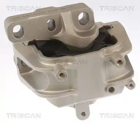 TRISCAN 8505 29145