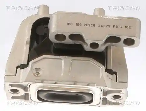 TRISCAN 8505 29145