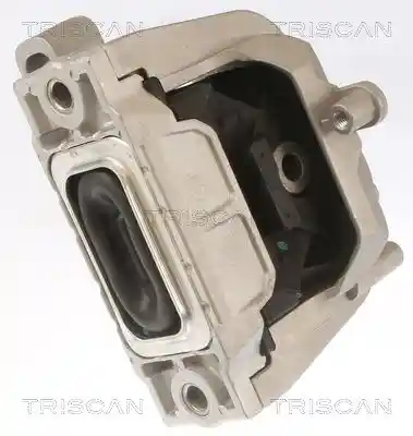 TRISCAN 8505 29145