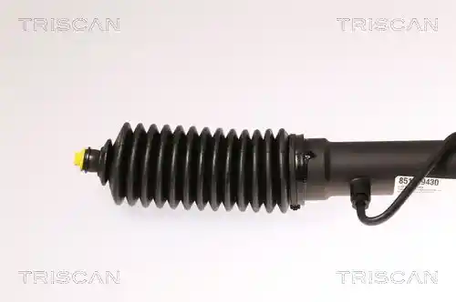 TRISCAN 8510 29430