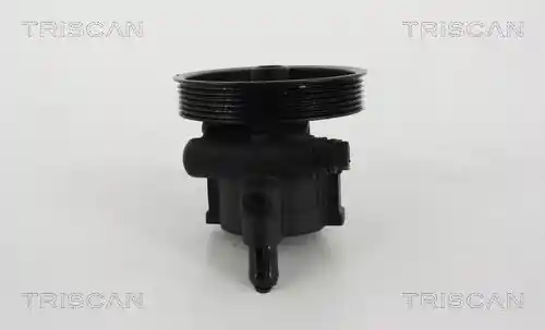 TRISCAN 8515 25629