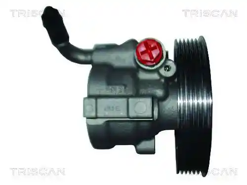 TRISCAN 8515 25641 TRISCAN 8515 25641