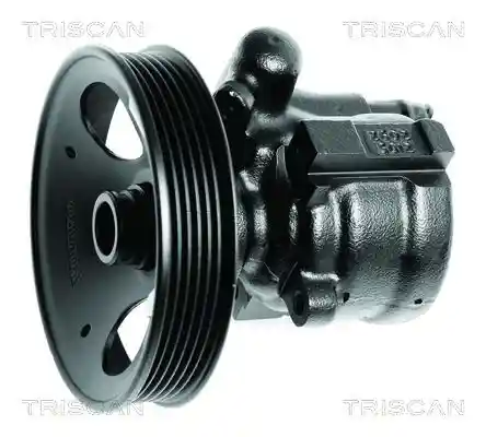 TRISCAN 8515 27613