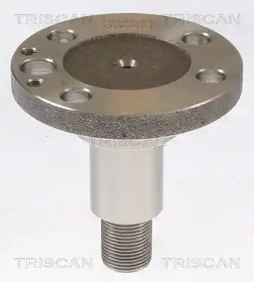 TRISCAN 8535 29013