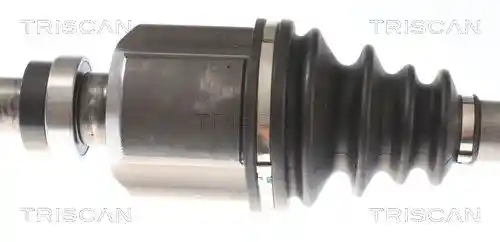 TRISCAN 8540 10513 TRISCAN 8540 10513
