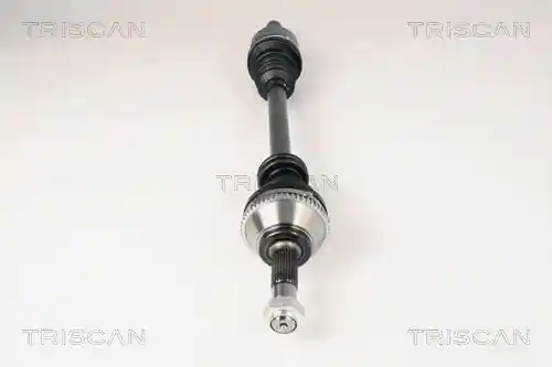 TRISCAN 8540 10518 TRISCAN 8540 10518