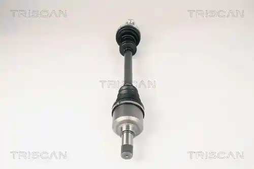 TRISCAN 8540 10518 TRISCAN 8540 10518