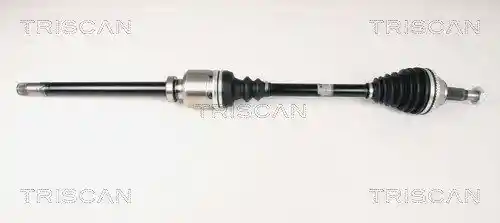 TRISCAN 8540 10519 TRISCAN 8540 10519