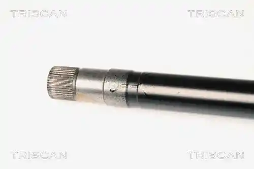 TRISCAN 8540 10519 TRISCAN 8540 10519
