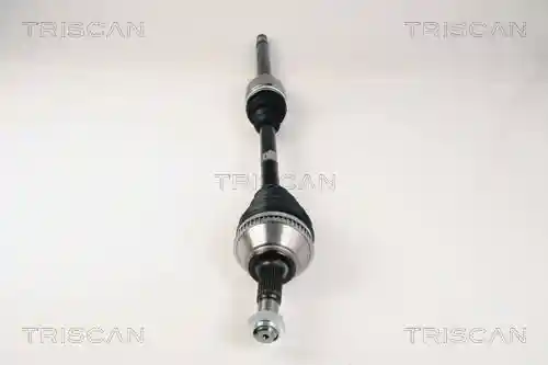 TRISCAN 8540 10519 TRISCAN 8540 10519