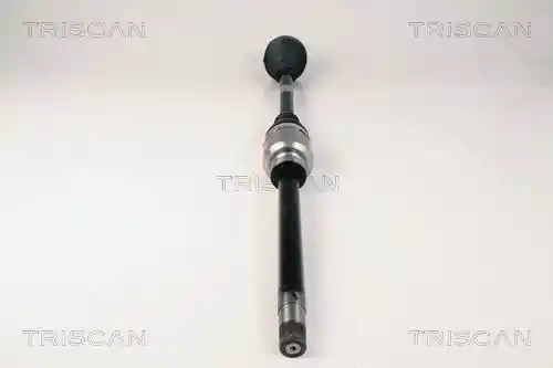 TRISCAN 8540 10519 TRISCAN 8540 10519