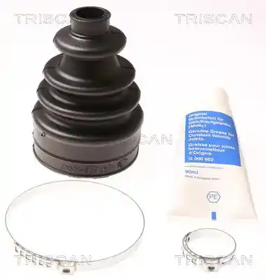 TRISCAN 8540 10810 TRISCAN 8540 10810