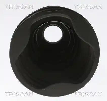 TRISCAN 8540 16907