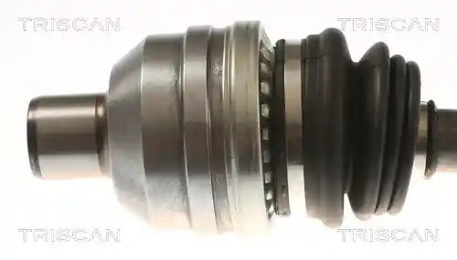 TRISCAN 8540 24620