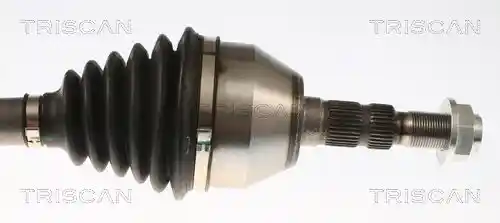 TRISCAN 8540 24621