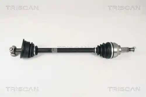 TRISCAN 8540 25603 TRISCAN 8540 25603
