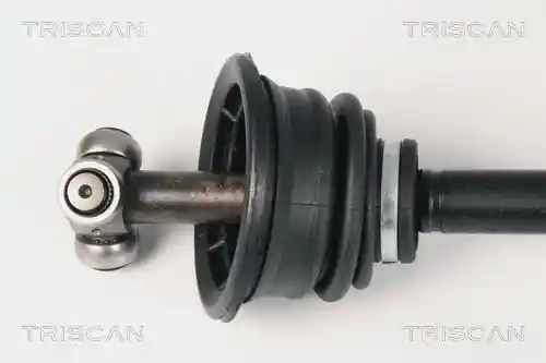 TRISCAN 8540 25603 TRISCAN 8540 25603