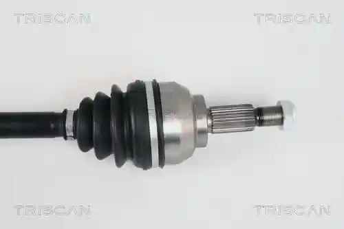 TRISCAN 8540 25603 TRISCAN 8540 25603