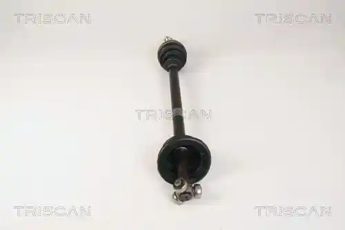 TRISCAN 8540 25603 TRISCAN 8540 25603