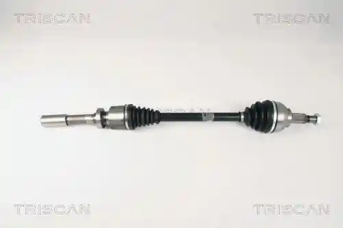 TRISCAN 8540 25604 TRISCAN 8540 25604