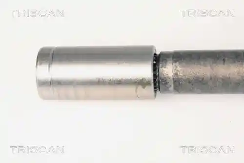 TRISCAN 8540 25604 TRISCAN 8540 25604