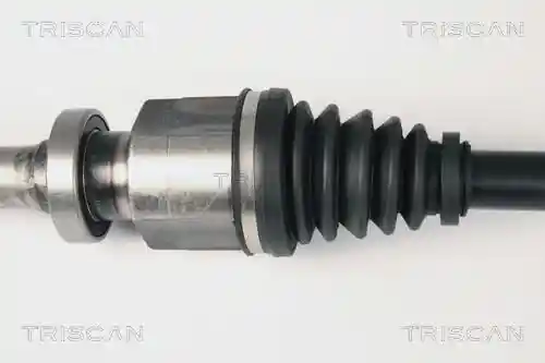 TRISCAN 8540 25604 TRISCAN 8540 25604