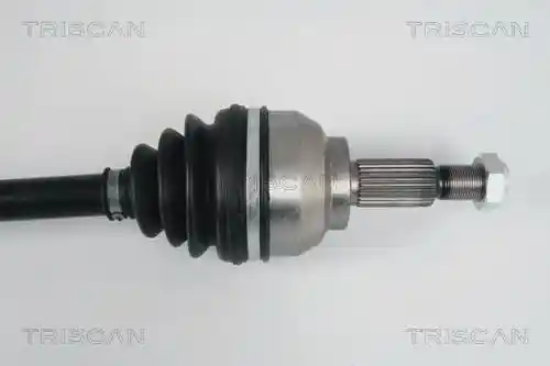 TRISCAN 8540 25604 TRISCAN 8540 25604