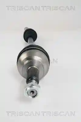 TRISCAN 8540 25604 TRISCAN 8540 25604