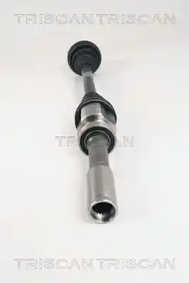 TRISCAN 8540 25604 TRISCAN 8540 25604