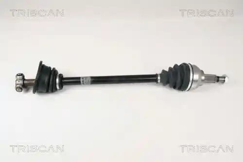 TRISCAN 8540 25605 TRISCAN 8540 25605