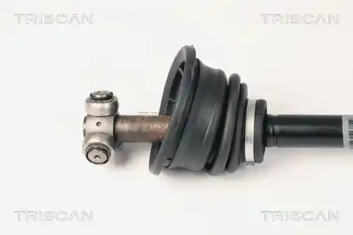 TRISCAN 8540 25605 TRISCAN 8540 25605