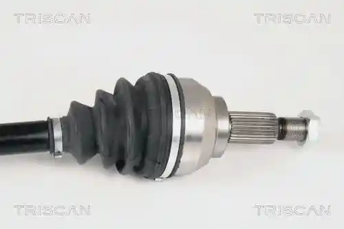 TRISCAN 8540 25605 TRISCAN 8540 25605