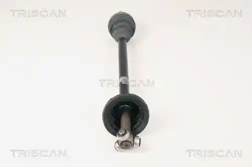 TRISCAN 8540 25605 TRISCAN 8540 25605