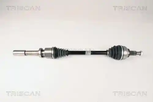 TRISCAN 8540 25606 TRISCAN 8540 25606