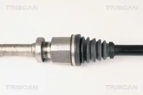 TRISCAN 8540 25606 TRISCAN 8540 25606
