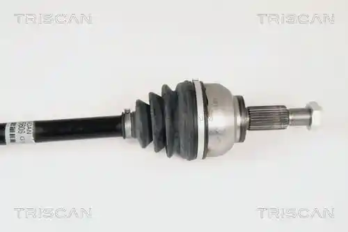 TRISCAN 8540 25606 TRISCAN 8540 25606